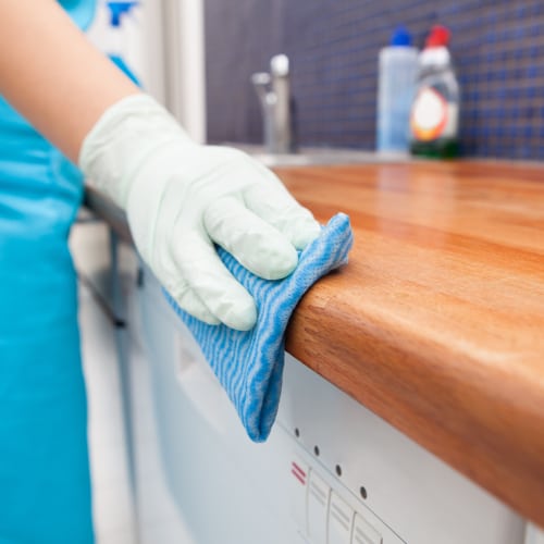 Move In Cleaning Services